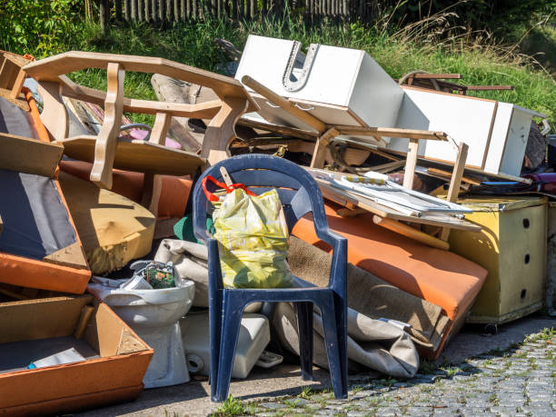 Attic Cleanout Services in East Highland Park, VA